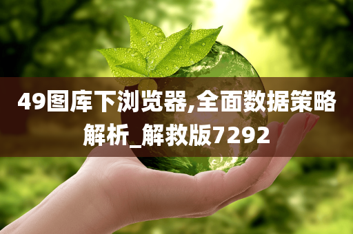 49图库下浏览器,全面数据策略解析_解救版7292