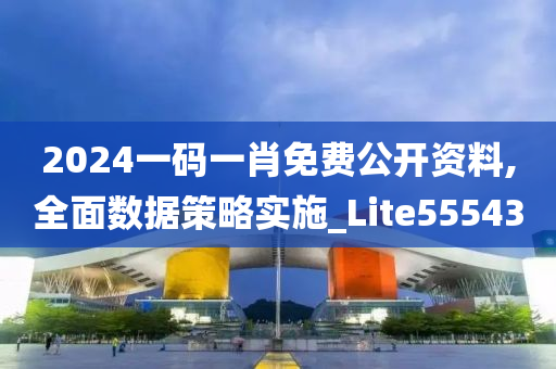 2024一码一肖免费公开资料,全面数据策略实施_Lite555430