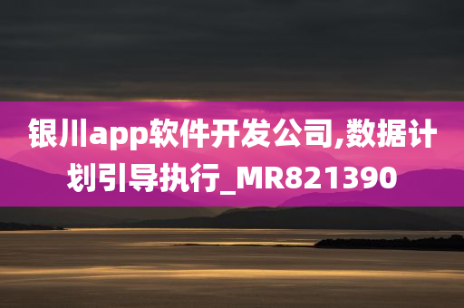 银川app软件开发公司,数据计划引导执行_MR821390