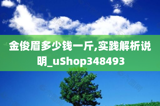 金俊眉多少钱一斤,实践解析说明_uShop348493