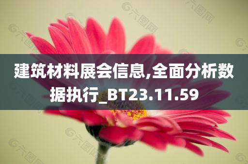 建筑材料展会信息,全面分析数据执行_BT23.11.59