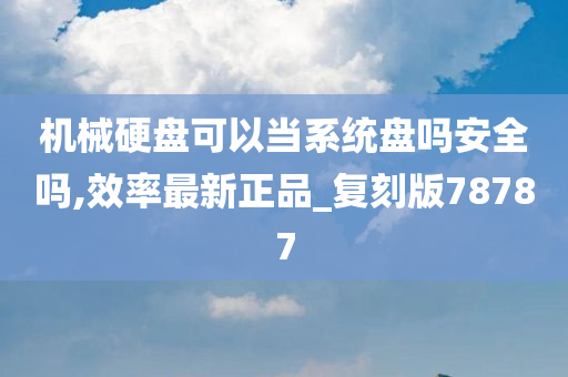 机械硬盘可以当系统盘吗安全吗,效率最新正品_复刻版78787