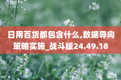 日用百货都包含什么,数据导向策略实施_战斗版24.49.18