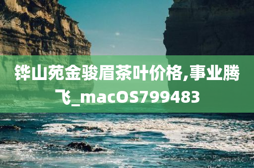 铧山苑金骏眉茶叶价格,事业腾飞_macOS799483