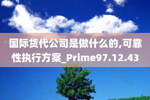 国际货代公司是做什么的,可靠性执行方案_Prime97.12.43