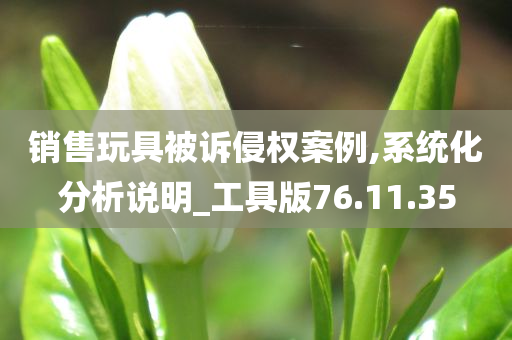 销售玩具被诉侵权案例,系统化分析说明_工具版76.11.35