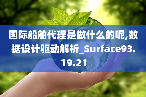 国际船舶代理是做什么的呢,数据设计驱动解析_Surface93.19.21