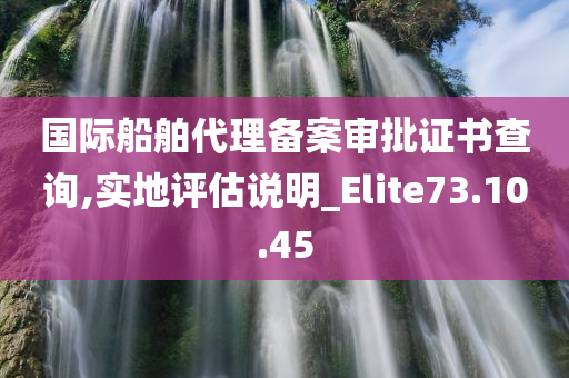 国际船舶代理备案审批证书查询,实地评估说明_Elite73.10.45