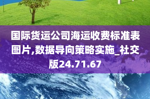 国际货运公司海运收费标准表图片,数据导向策略实施_社交版24.71.67