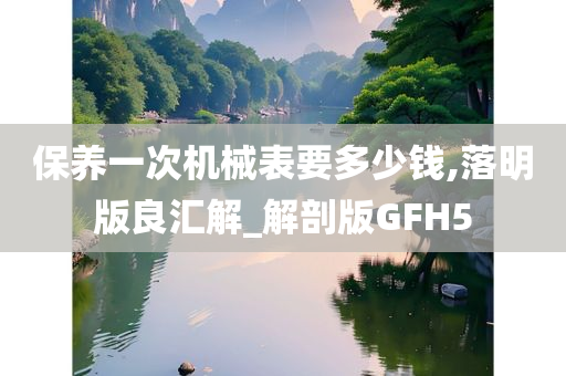 保养一次机械表要多少钱,落明版良汇解_解剖版GFH5