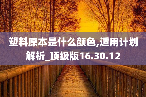 塑料原本是什么颜色,适用计划解析_顶级版16.30.12