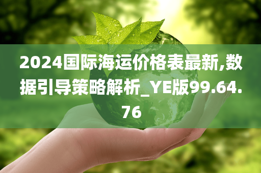 2024国际海运价格表最新,数据引导策略解析_YE版99.64.76