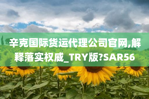 辛克国际货运代理公司官网,解释落实权威_TRY版?SAR56