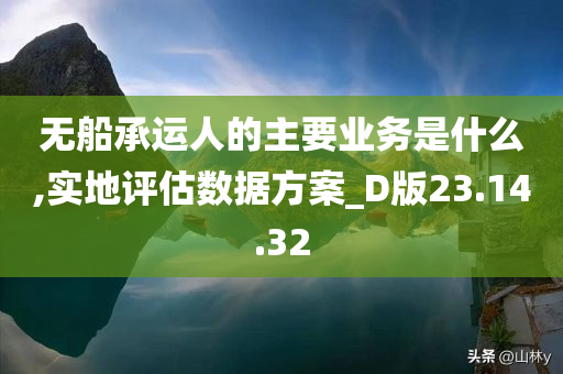 无船承运人的主要业务是什么,实地评估数据方案_D版23.14.32