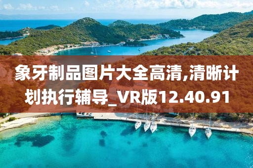 象牙制品图片大全高清,清晰计划执行辅导_VR版12.40.91