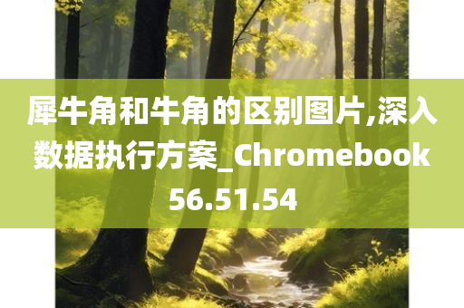 犀牛角和牛角的区别图片,深入数据执行方案_Chromebook56.51.54