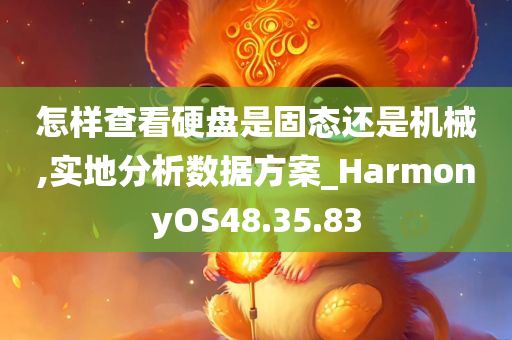 怎样查看硬盘是固态还是机械,实地分析数据方案_HarmonyOS48.35.83