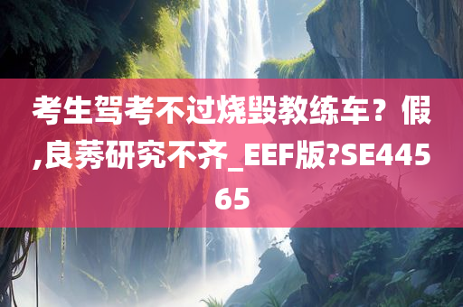 考生驾考不过烧毁教练车？假,良莠研究不齐_EEF版?SE44565