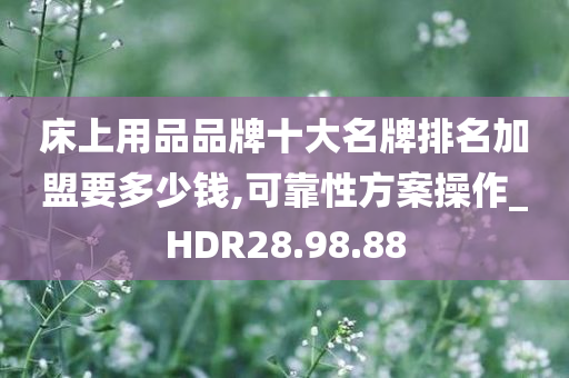 床上用品品牌十大名牌排名加盟要多少钱,可靠性方案操作_HDR28.98.88