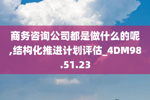 商务咨询公司都是做什么的呢,结构化推进计划评估_4DM98.51.23