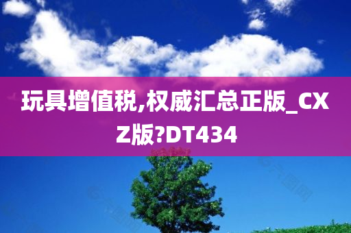 玩具增值税,权威汇总正版_CXZ版?DT434