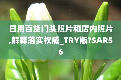 日用百货门头照片和店内照片,解释落实权威_TRY版?SAR56