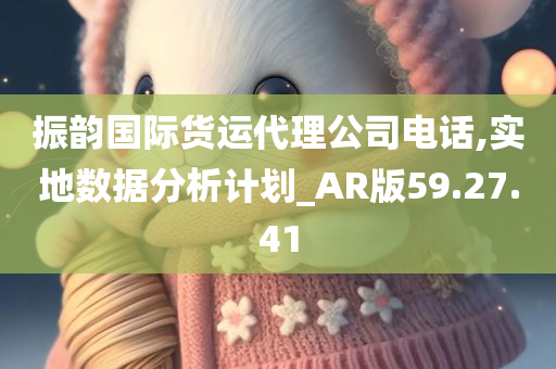 振韵国际货运代理公司电话,实地数据分析计划_AR版59.27.41