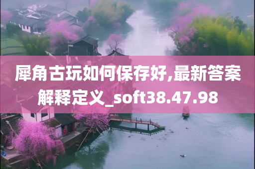 犀角古玩如何保存好,最新答案解释定义_soft38.47.98