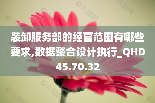 装卸服务部的经营范围有哪些要求,数据整合设计执行_QHD45.70.32