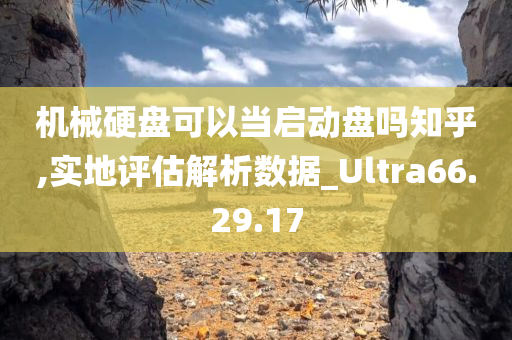 机械硬盘可以当启动盘吗知乎,实地评估解析数据_Ultra66.29.17