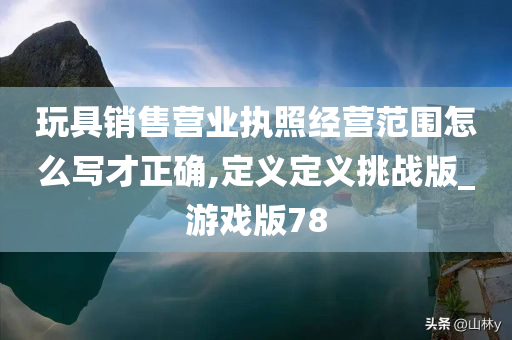 玩具销售营业执照经营范围怎么写才正确,定义定义挑战版_游戏版78