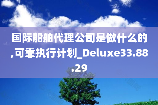 国际船舶代理公司是做什么的,可靠执行计划_Deluxe33.88.29