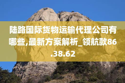 陆路国际货物运输代理公司有哪些,最新方案解析_领航款86.38.62