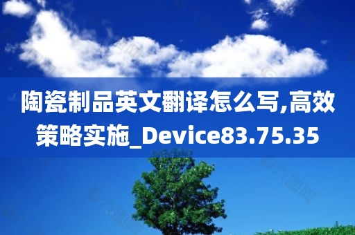 陶瓷制品英文翻译怎么写,高效策略实施_Device83.75.35