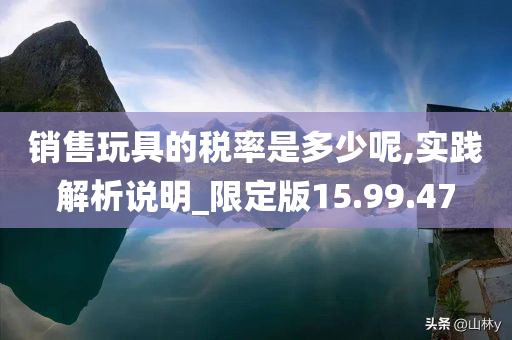 销售玩具的税率是多少呢,实践解析说明_限定版15.99.47