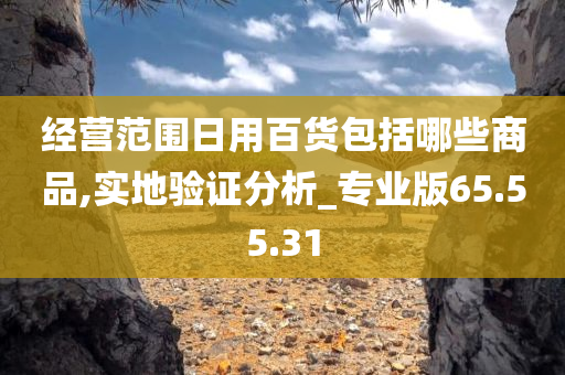 经营范围日用百货包括哪些商品,实地验证分析_专业版65.55.31