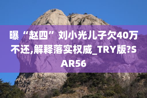 曝“赵四”刘小光儿子欠40万不还,解释落实权威_TRY版?SAR56