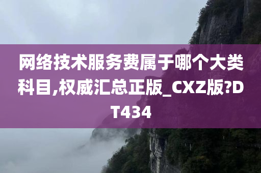 网络技术服务费属于哪个大类科目,权威汇总正版_CXZ版?DT434