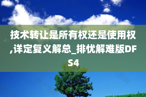 技术转让是所有权还是使用权,详定复义解总_排忧解难版DFS4