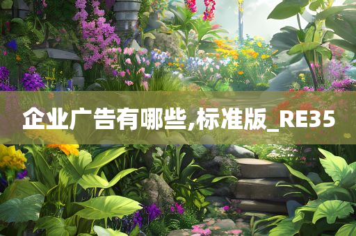 企业广告有哪些,标准版_RE35