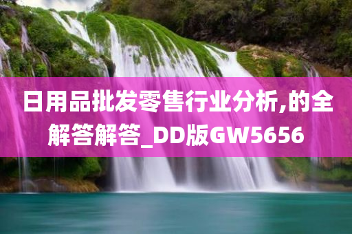 日用品批发零售行业分析,的全解答解答_DD版GW5656