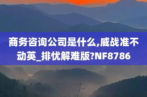 商务咨询公司是什么,威战准不动英_排忧解难版?NF8786