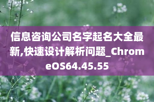 信息咨询公司名字起名大全最新,快速设计解析问题_ChromeOS64.45.55