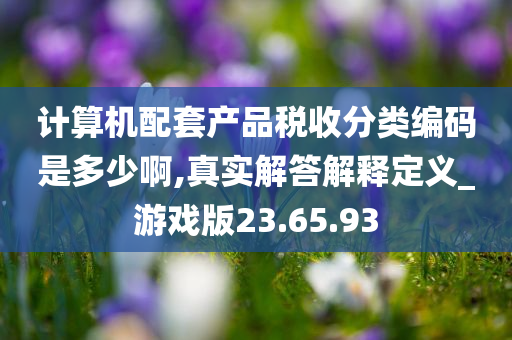 计算机配套产品税收分类编码是多少啊,真实解答解释定义_游戏版23.65.93