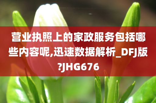 营业执照上的家政服务包括哪些内容呢,迅速数据解析_DFJ版?JHG676