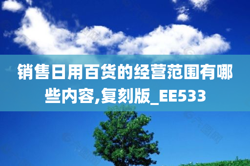 销售日用百货的经营范围有哪些内容,复刻版_EE533