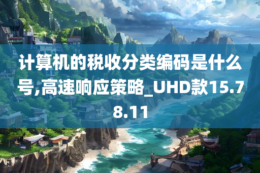 计算机的税收分类编码是什么号,高速响应策略_UHD款15.78.11