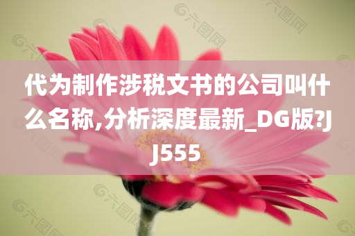 代为制作涉税文书的公司叫什么名称,分析深度最新_DG版?JJ555