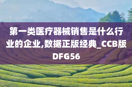 第一类医疗器械销售是什么行业的企业,数据正版经典_CCB版DFG56