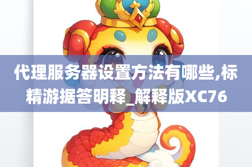 代理服务器设置方法有哪些,标精游据答明释_解释版XC76